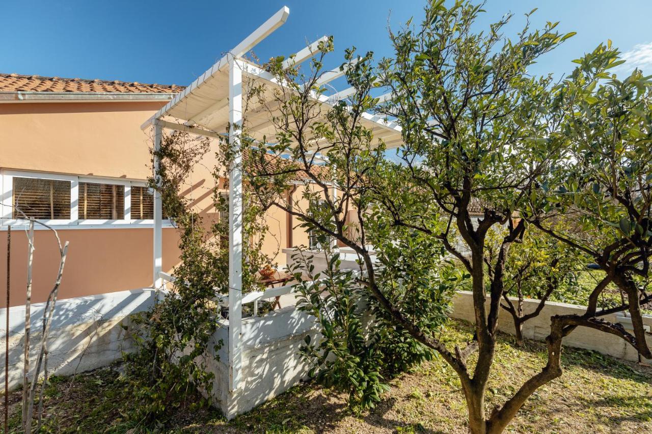 Stylish Mini-House With Garden & Beach بِييلا المظهر الخارجي الصورة